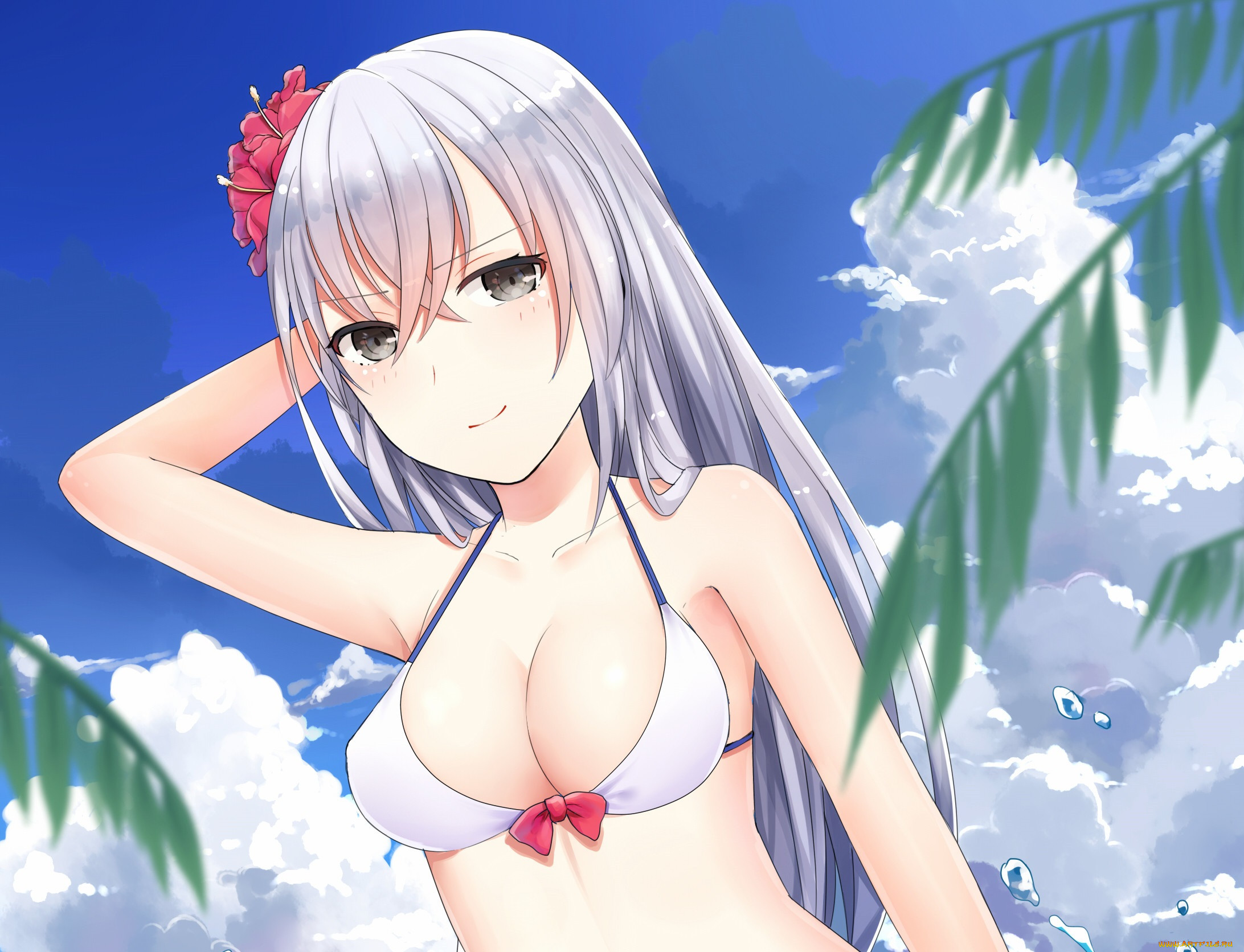 , zhan jian shao nyu, 